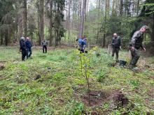 Leśnicy i miłośnicy Olsztynka odsłonili zbiorowe mogiły z 1914 roku