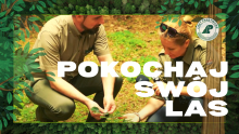 Pokochaj swój las (2021) - zapowiedź cyklu filmów z Nadleśnictwa Stare Jabłonki