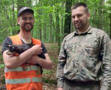Leśnicy uratowali bezbronne szczenię