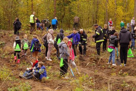 Wipsowo: Wielkie Jesienne Sadzenie Lasu