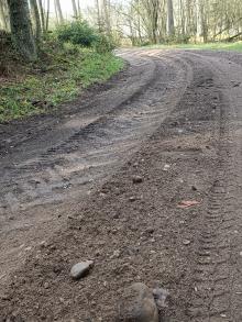Niszczą drogi, płoszą zwierzęta
