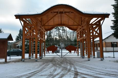 Końcowy etap budowy Pokazowej Zagrody Żubrów w Krajewie