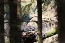 Triumf Natury i Współpracy !