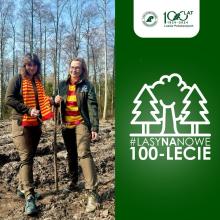 „Lasy na nowe 100-lecie” – leśnicy sadzą pół miliarda drzew rocznie