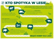 Spotkałeś dzikie zwierzę? Nie panikuj