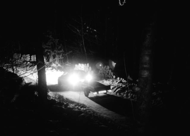 Zatrzymani sprawcy kradzieży drewna. Monitoring działa skutecznie