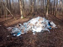 Początek wiosny w lesie – niestety także z odpadami remontowymi