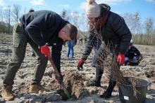 Nie było lasu - jest las