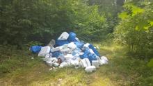 Kolejna kara za wyrzucanie śmieci do lasu