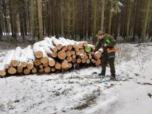 Zimowe realia życia i pracy w lesie